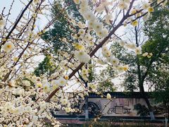 -张公山寨景区