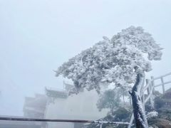 -九华山风景区
