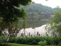 -重庆彩云湖湿地公园