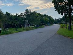 -上海海湾国家森林公园