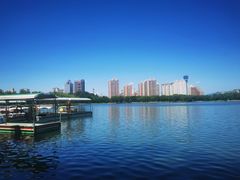 -莲花池公园