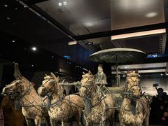-秦始皇帝陵博物院-丽山园