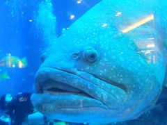 -成都浩海立方海洋公园