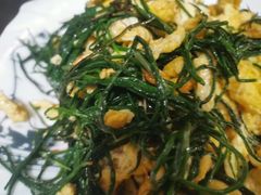 -煲来饱去冷水鱼