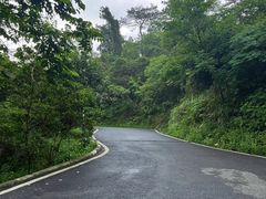 -火炉山森林公园