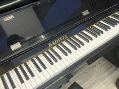-缪斯琴行英皇小提琴.钢琴.吉他(张江店)