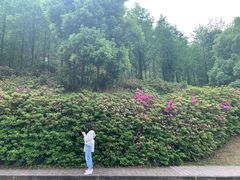 -重庆平顶山公园