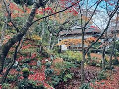 -常寂光寺