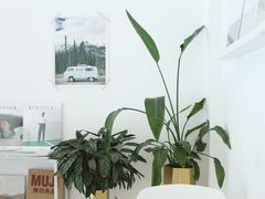 -隹木咖啡馆(宝龙广场店)