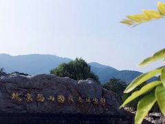 -北京西山国家森林公园