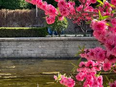 -海棠花溪(元大都城垣遗址公园)