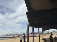 -碧海金沙