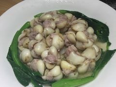 -滇铺子·云南特色菜·第九届野生菌美食节(东风东路c86店)