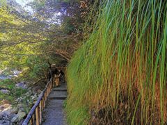 -鄣山大峡谷