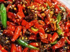 干煸鳝鱼-拈一筷子·宜宾江湖菜(十一街店)
