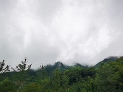 -龙颈河漂流