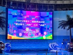 -海合安成都极地海洋公园