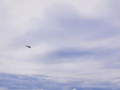 -空中草原