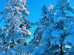 -西岭雪山大飞水景区