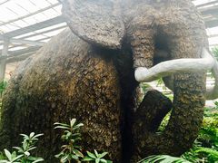 -呀路古热带植物园-恐龙馆