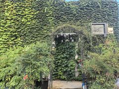 -小马牛肉面·牛骨熬制(南京博物院店)