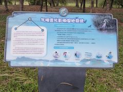 -广东花都湖国家湿地公园