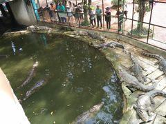 -是拉差龙虎园(Permanently closed)