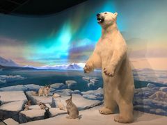 -陕西自然博物馆