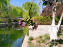 -元大都城垣遗址公园