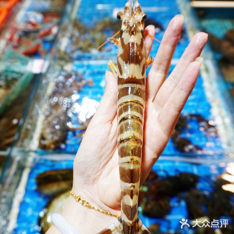 有着80几年历史的肉松店，居然还有海鲜