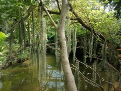 -南通洲际绿博园