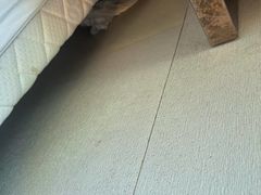 -惠州金海湾嘉华度假酒店