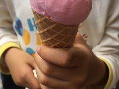 -成裕雪糕店(士多店)