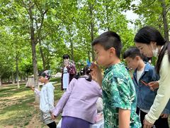 -能量小象·感统·专注力·语言(崂山校区)