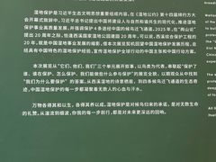 -中国湿地博物馆