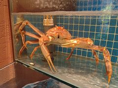 -隐炉和牛烧肉店(群力店)