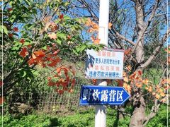 -第五季龙水凤港生态露营农场