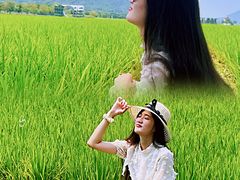 -艾米稻香小镇