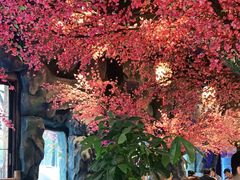 -寻钵记民菜馆·正宗常德钵子菜(滨湖路店)