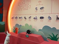 -浙江自然博物院(杭州馆)