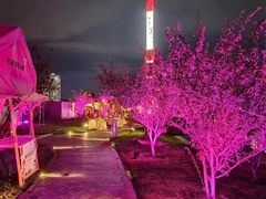 -成都娃娃花园餐厅 (南艺旗舰店)