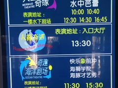 -泉城欧乐堡海洋极地世界