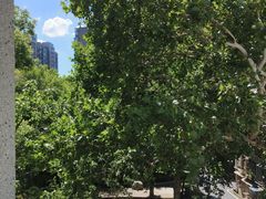 -湖北美术学院(昙华林校区)