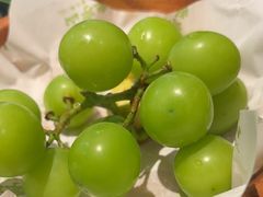 -季季山·云南野生菌火锅(上海首店)