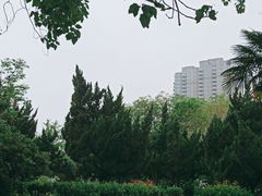 -咸阳湖景区