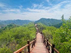 -大岭沟猕猴桃谷风景区