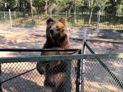 -秦皇岛野生动物园