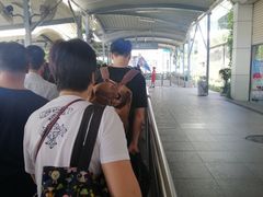 -国际邮轮中心码头(厦鼓码头)