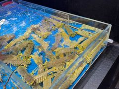 -徐记海鲜(大雁塔|金都店)