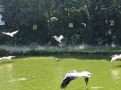 -广州长隆飞鸟乐园